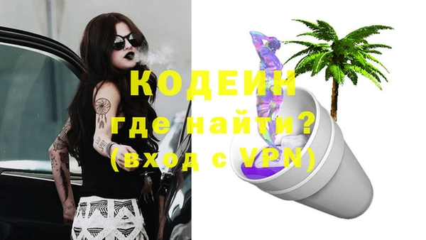 твердый Богданович