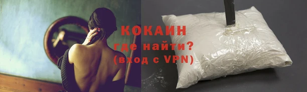 дмт Магадан