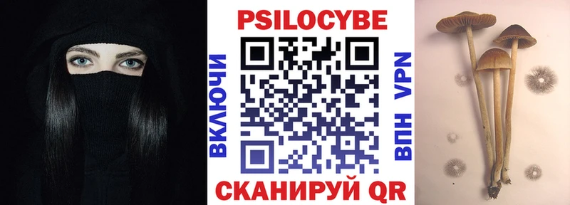Галлюциногенные грибы Psilocybine cubensis  blacksprut рабочий сайт  Венёв 